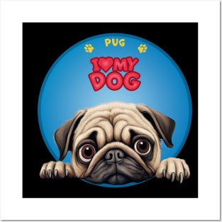 I Love my dog Pug Posters and Art